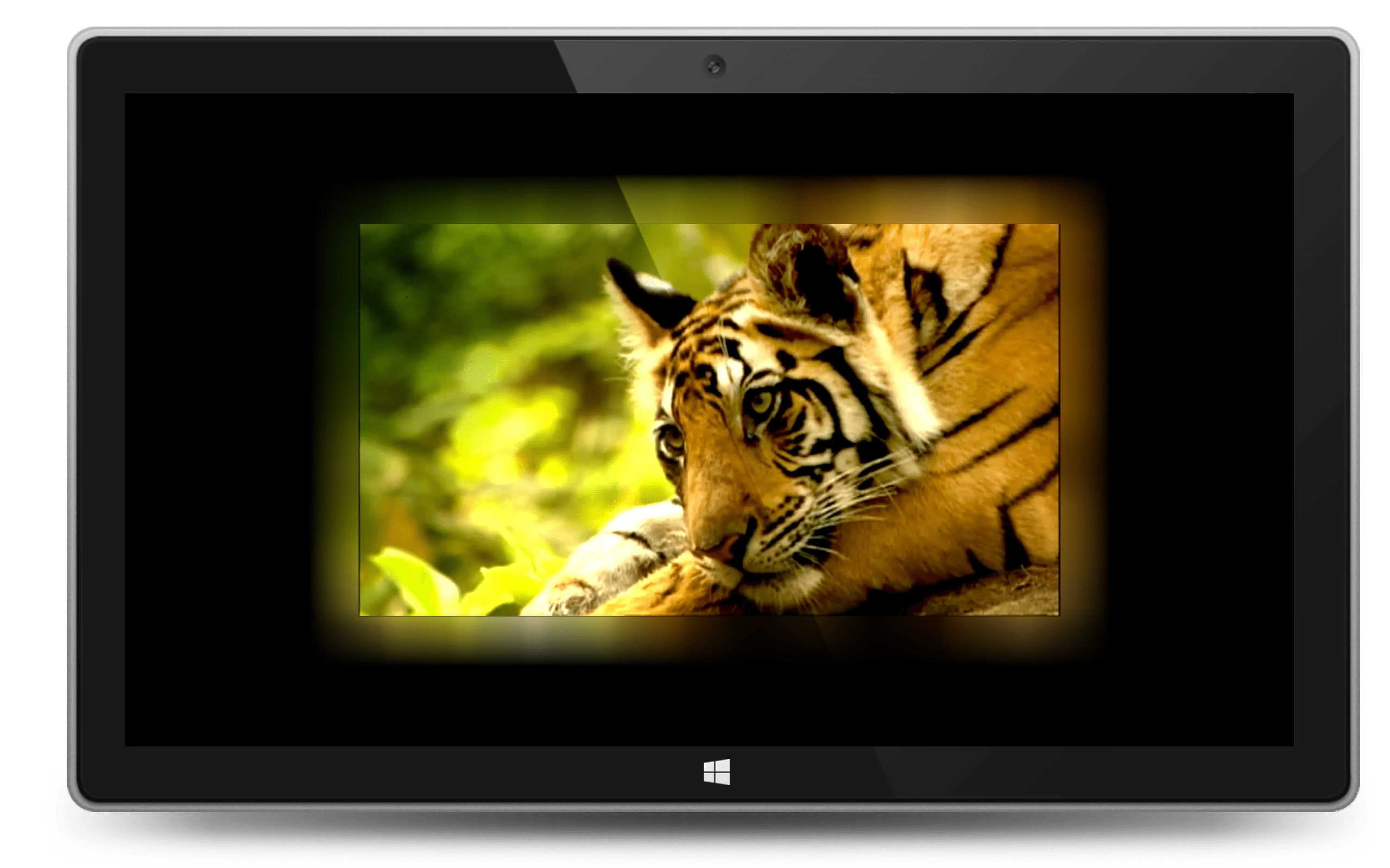 Aurora Player Windows App on Surface Pro