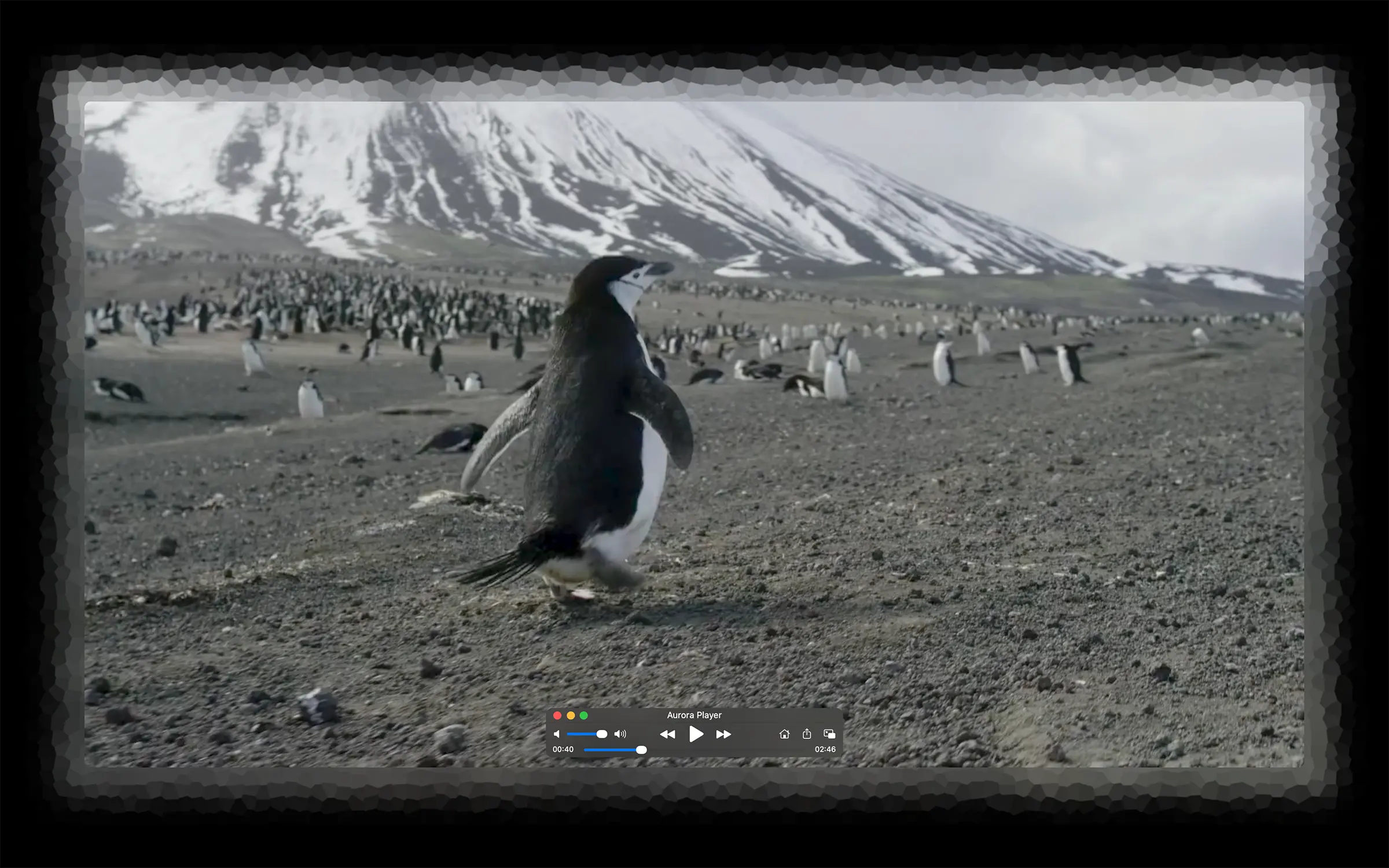 Aurora Player in full screen mode