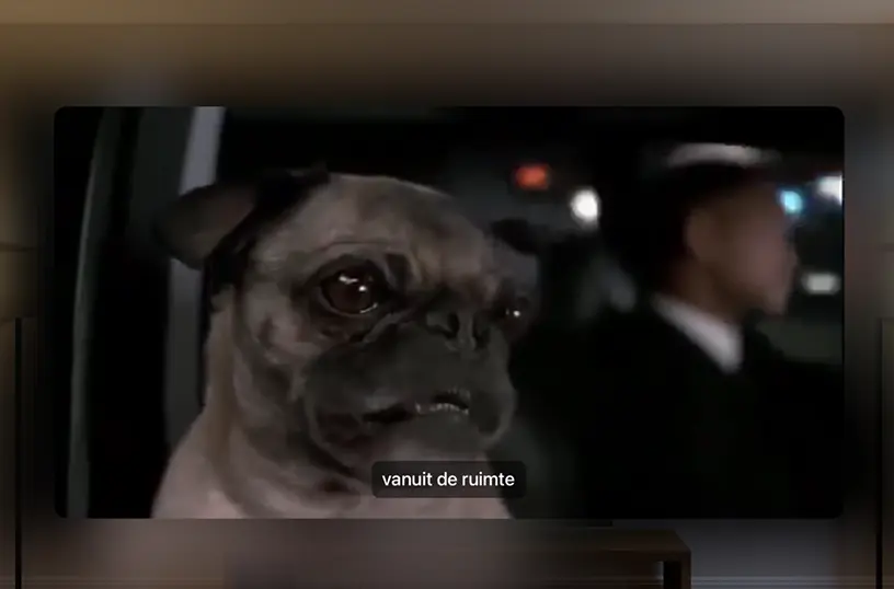 Support to load your custom subtitles