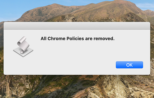 chrome policy pgedit chrome policy pgedit