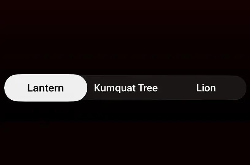 Slider segment to choose between lantern, kumquat tree, and lion