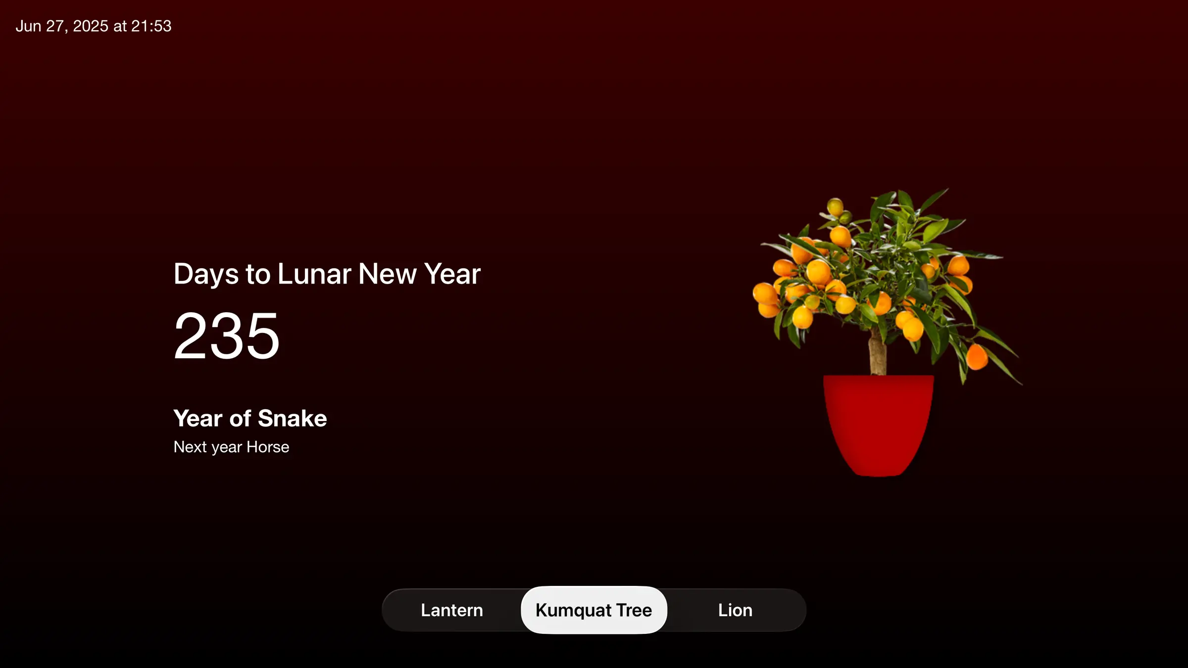 Kumquate tree on your big TV screen