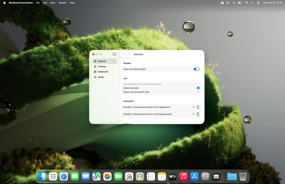 My Recent Documents settings window