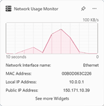 Preview of the Network Usage Monitor for Windows 11