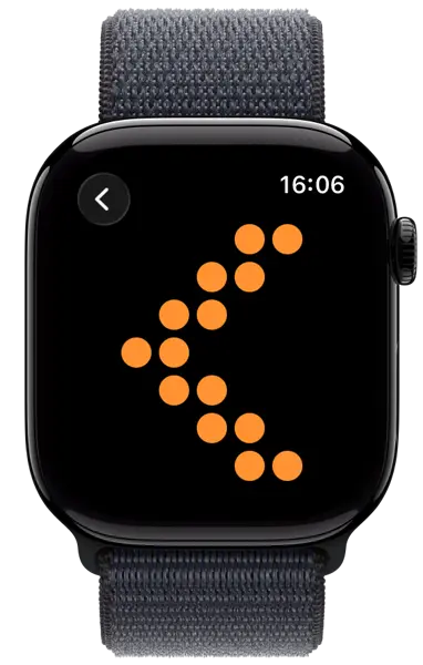 Traffic Blinker app on Apple Watch